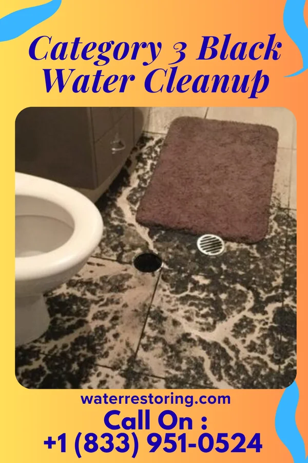 Category 3 Black Water Cleanup in Buford, SC
